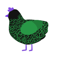 DJ, a black and viridian chicken with a double-lace pattern