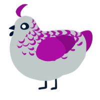 (unnamed), a silver and plum chicken with a half-lace pattern