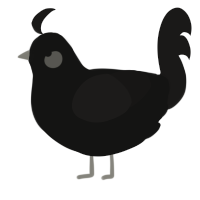 black hole, a black and sable chicken