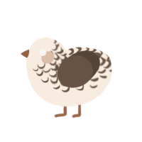 (unnamed), a cream and bark chicken with a half-lace pattern