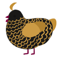 (unnamed), a sable and gold chicken with a lace pattern