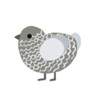 (unnamed), a ash and mist chicken with a lace pattern