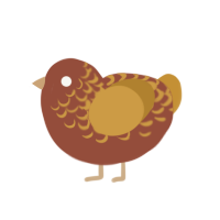 Hazelnut, a russet and gold chicken with a half-lace pattern