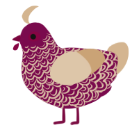 vanilla cola, a black and beige chicken with a double-lace pattern