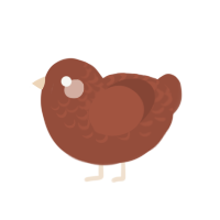 (unnamed), a russet chicken with a half-lace pattern