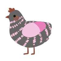 (unnamed), a grey and pink chicken with a bar pattern