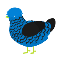 Forward, a sapphire and sable chicken with a lace pattern