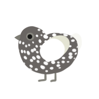 maia, a grey and white chicken with a speckle pattern