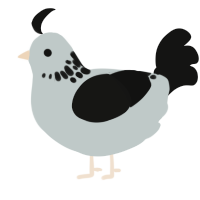 smudge, a silver and black chicken with a neck-speckle pattern