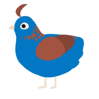 ok to flip 03, a sapphire and russet chicken with a neck-speckle pattern