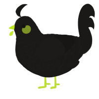 Nightcrawler, a sable chicken with a lace pattern