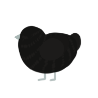 The Narrator, a black and sable chicken with a bar pattern