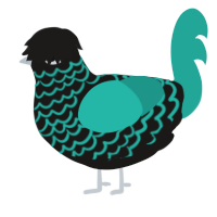 Gem Silica, a sable and turquoise chicken with a lace pattern