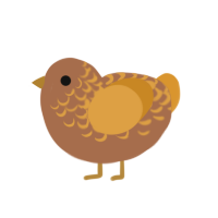 Poodle, a brown and orange chicken with a half-lace pattern