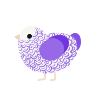 (unnamed), a white and blurple chicken with a double-lace pattern