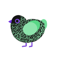 Opus, a black and spring chicken with a double-lace pattern