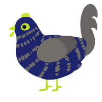 (unnamed), a navy and grey chicken with a bar pattern