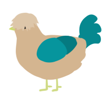 Kevin, a beige and teal chicken