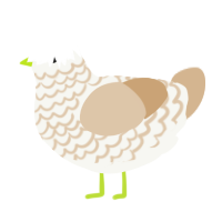 Tencha, a white and beige chicken with a lace pattern