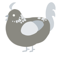 Silver Mist, a ash and mist chicken with a neck-speckle pattern