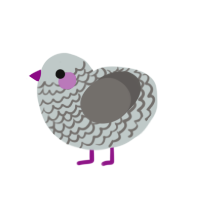 (unnamed), a silver and grey chicken with a lace pattern