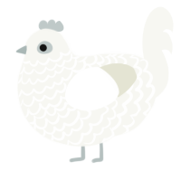 A white chicken with a lace pattern