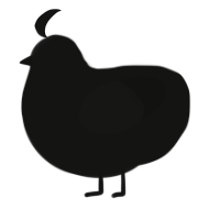 (unnamed), a black chicken