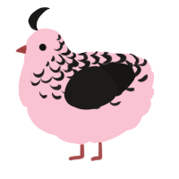 (unnamed), a rose and sable chicken with a half-lace pattern