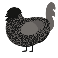 Grey Goth, a black and grey chicken with a double-lace pattern