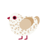 pending, a white and beige chicken with a speckle pattern