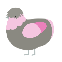 Grey Mop, a ash and pink chicken with a head pattern