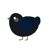 Spooki, a sable and tumblr chicken with a speckle pattern