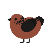 warm brownie, a russet and sable chicken with a neck-speckle pattern