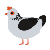 Speckles, a white and sable chicken with a neck-speckle pattern