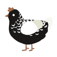 chalk jr, a sable and white chicken with a half-lace pattern