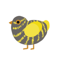 (unnamed), a grey and yellow chicken with a bar pattern