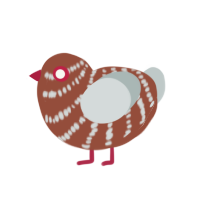 (unnamed), a russet and silver chicken with a bar pattern