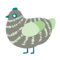 Mint Choco, a ash and gluppy chicken with a bar pattern