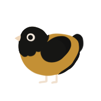 ayam buah keluak, a gold and black chicken with a head pattern