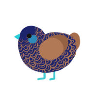 Bronzed Lace, a navy and brown chicken with a double-lace pattern