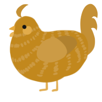 Grain, a ochre and gold chicken with a bar pattern