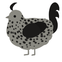 (unnamed), a ash and sable chicken with a speckle pattern