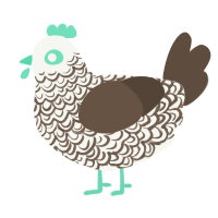 Mint Chocolate, a white and bark chicken with a double-lace pattern