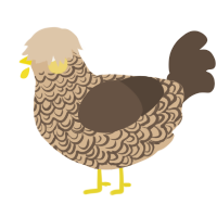 (unnamed), a beige and bark chicken with a double-lace pattern