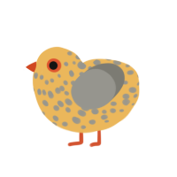 (unnamed), a honey and ash chicken with a speckle pattern