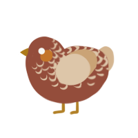 Beanie, a russet and beige chicken with a half-lace pattern