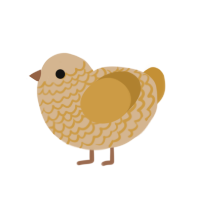 Oatmeal, a beige and gold chicken with a lace pattern