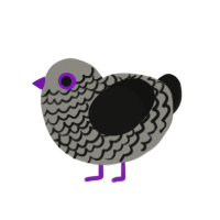 Grey, a ash and black chicken with a lace pattern