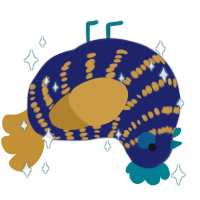 Lapis Lazuli, a navy and gold chicken with a bar pattern