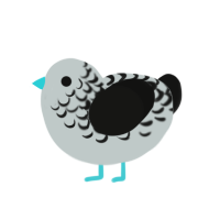 Dazzle, a silver and black chicken with a half-lace pattern